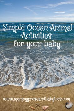 This may contain: an ocean beach with the words simple ocean animal activities for your baby