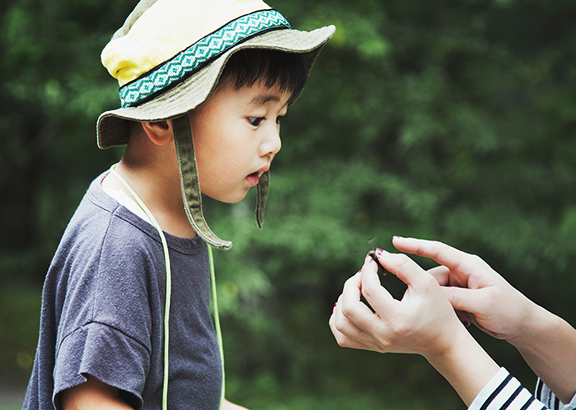 Young boy discovering bugs in nature