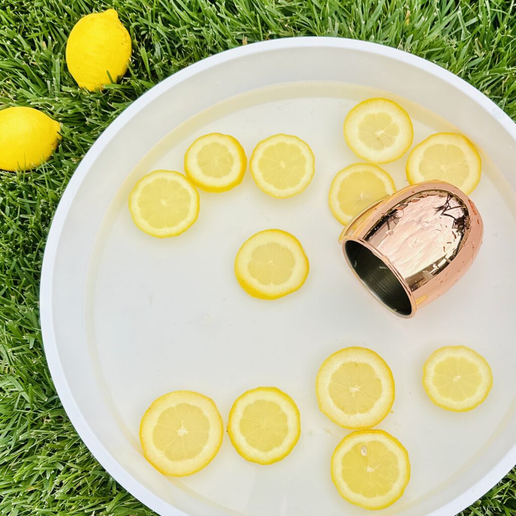 Frozen Fruit in Water - The Best Taste-Safe Sensory Play Ideas