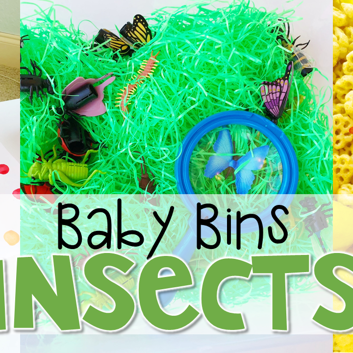 These insect themed sensory bins and activities are great for learning and play and are completely baby safe. Baby Bins are the perfect way to learn, build language, play and explore with little ones between 12-24 months old.