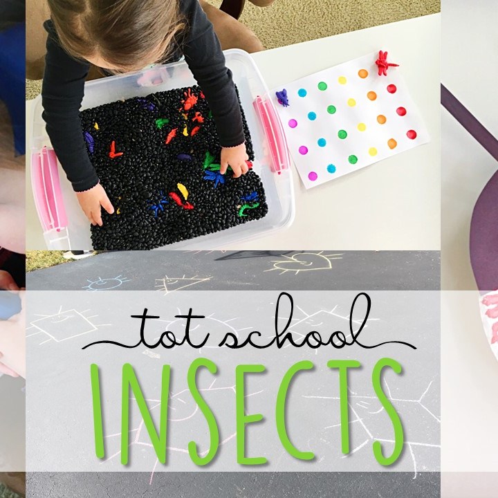 Tons of insect themed activities and ideas. Weekly plan includes books, literacy, math, science, art, sensory bins, and more! Perfect for tot school, preschool, or kindergarten.