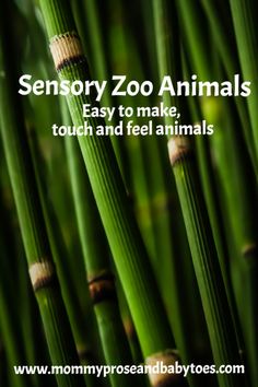 This may contain: some green plants with the words sensory zoo animals easy to make, touch and feel animals