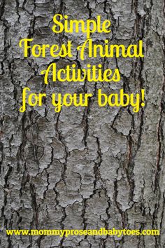 This may contain: a tree trunk with the words, simple forest animal activities for your baby