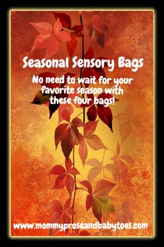 This may contain: an orange and red background with leaves on it, says seasonal sensory bags no need to wait for your favorite season with these four bags