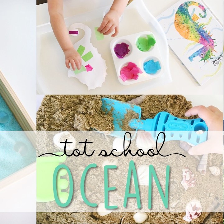 Tons of ocean themed activities and ideas. Weekly plan includes books, literacy, math, science, art, sensory bins, and more! Perfect for tot school, preschool, or kindergarten.