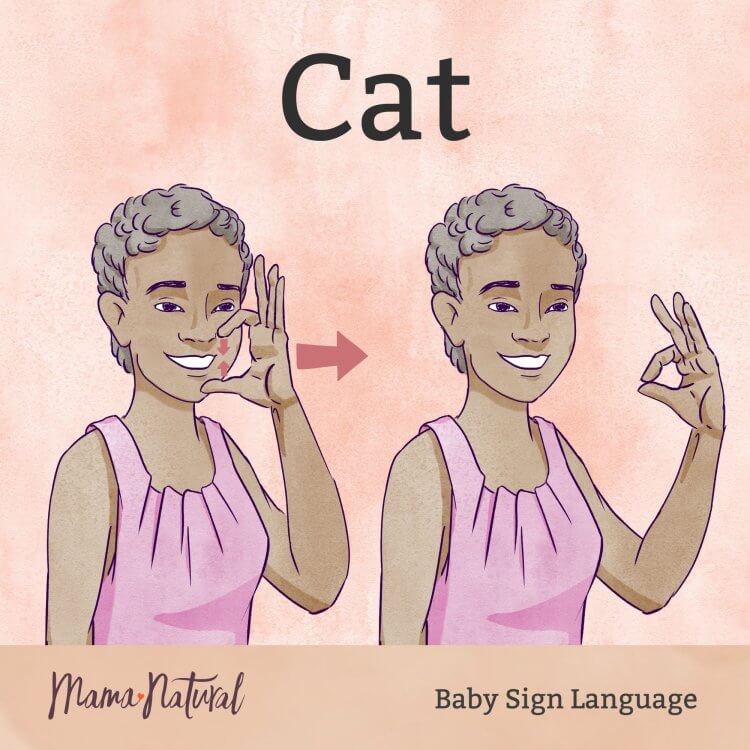 Baby Sign Language cat card - Mama Natural