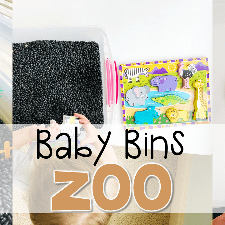 These zoo themed sensory bins and activities are great for learning and play and are completely baby safe. Baby Bins are the perfect way to learn, build language, play and explore with little ones between 12-24 months old.