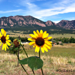 Looking for family travel tips? We share our best nature travel advice for families - including family camping ideas and popular outdoor family travel destinations.