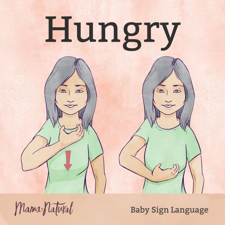 Baby Sign Language hungry card - Mama Natural