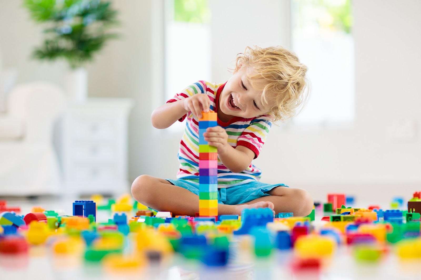 At Home Speech & Language Activities - Duplo Blocks 