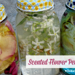 Making scented flower petal potions gives kids a chance to touch, squish, smell and play with flowers. Which magical potion will smell the nicest?