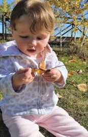 Leaf Sorting Sensory Bottles - Nature Discovery Activity for Kids!