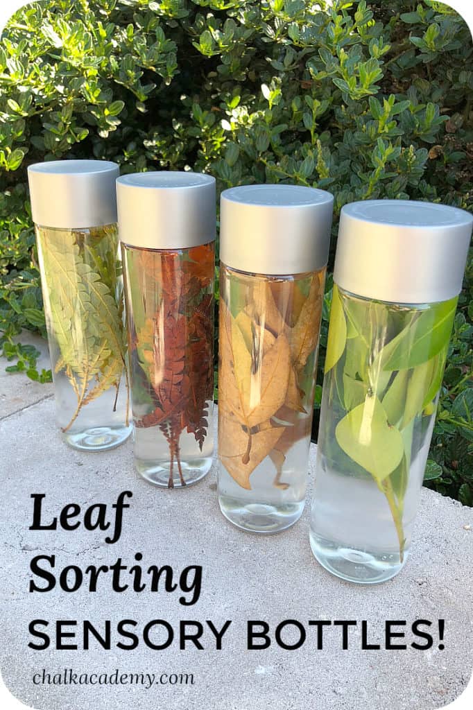 Leaf Sorting Sensory Bottles - Nature Discovery Activity for Kids!