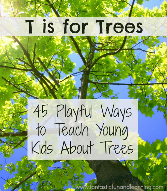 45 Playful Ways to Teach Young Kids About Trees-Full of tree activities and fun projects for kids learning about trees