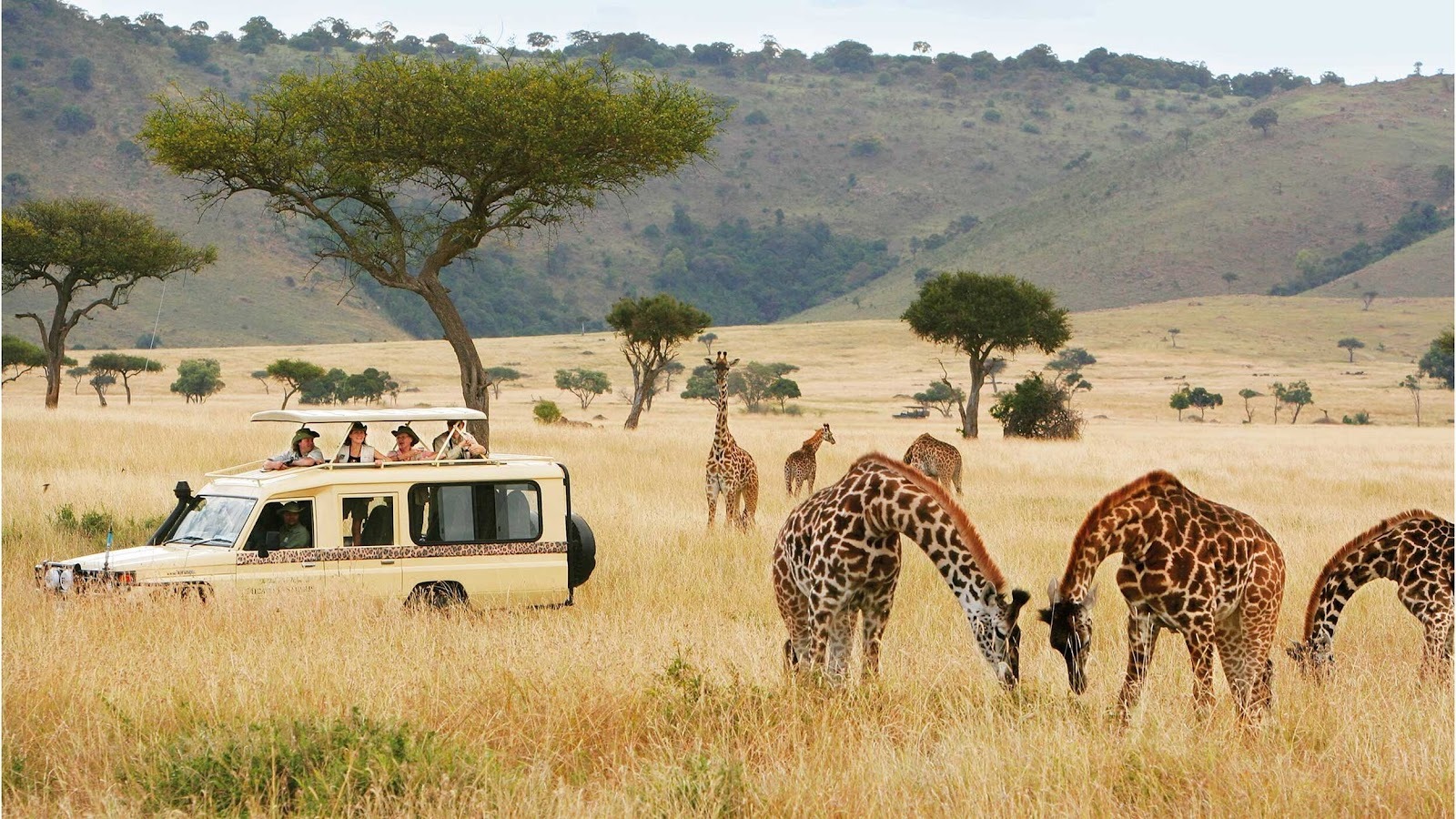 AfricaSafari.JPG